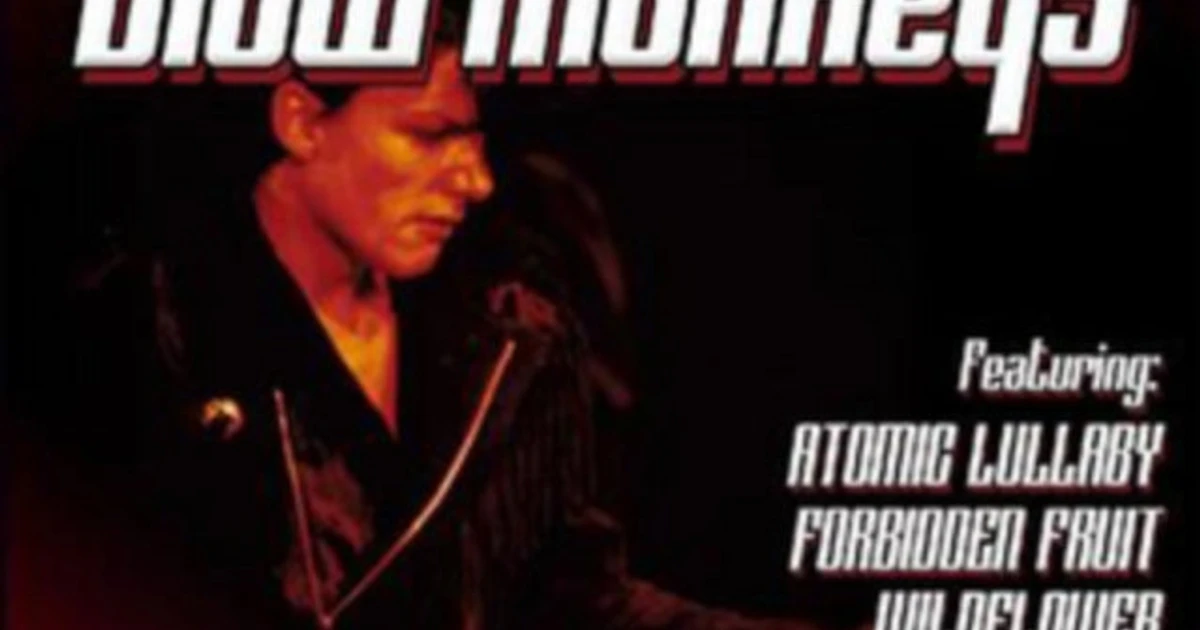 The Blow Monkeys CD - Live From London