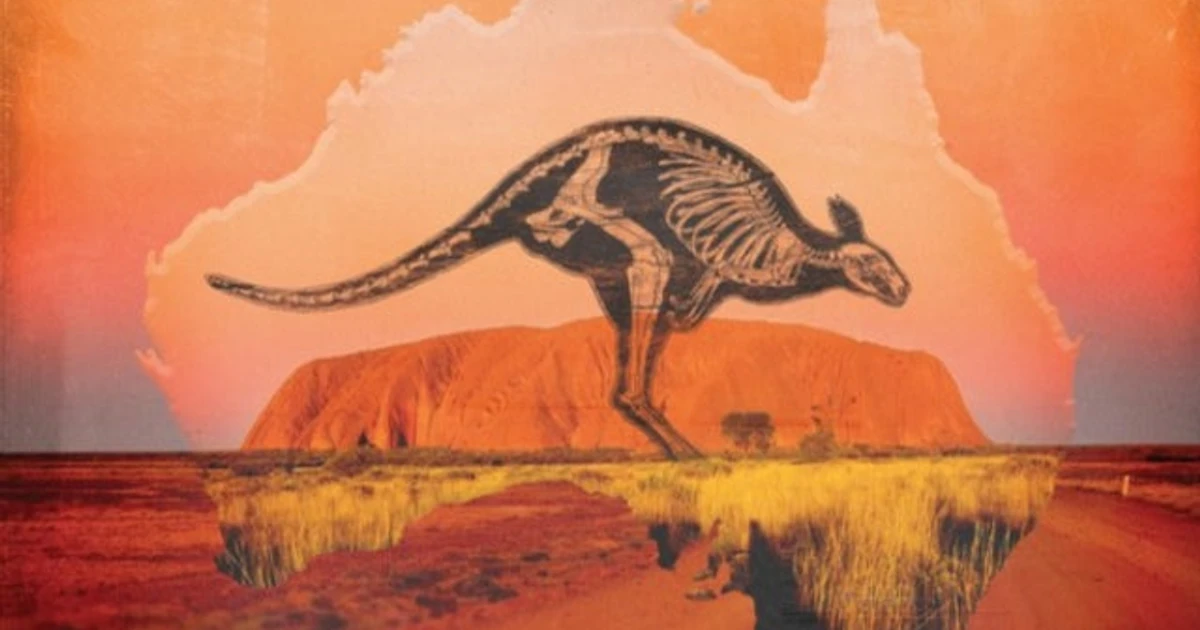 The Offspring LP - Raw & Down Under In 1995 (Vinyl)