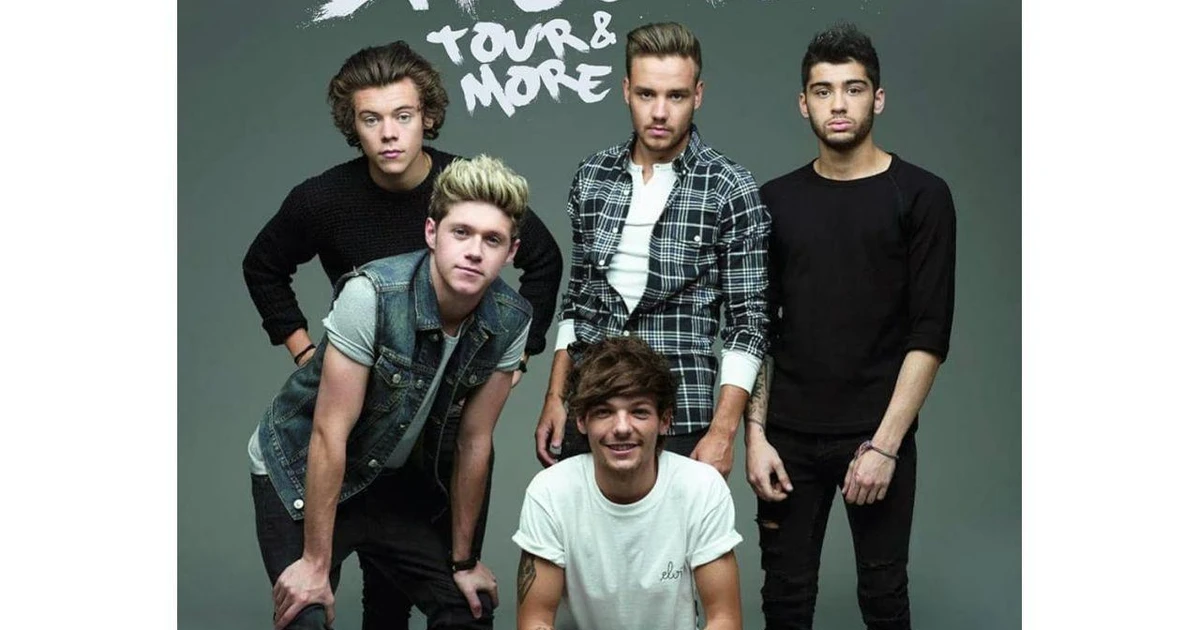 ONE DVD ツアーグッズ DIRECTION（ワンダイレクション）1D