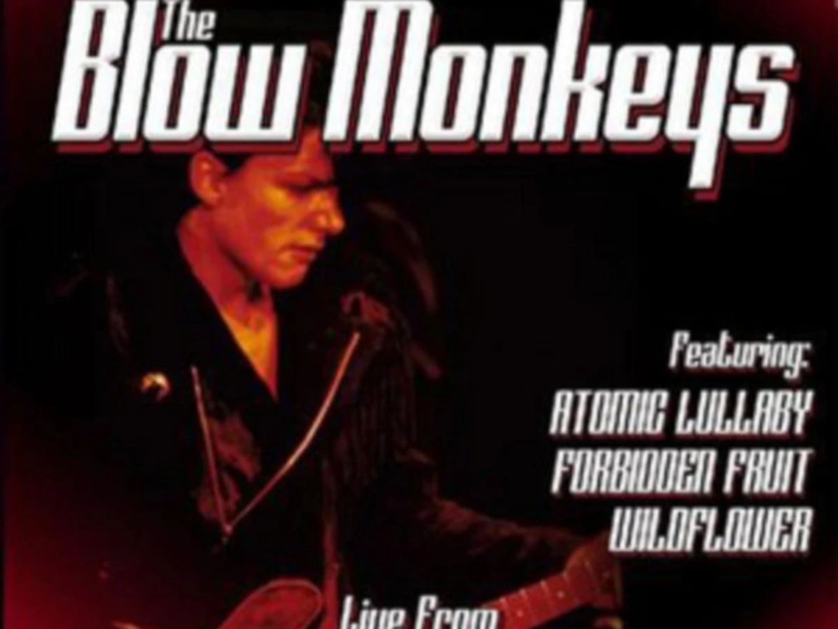 The Blow Monkeys CD - Live From London
