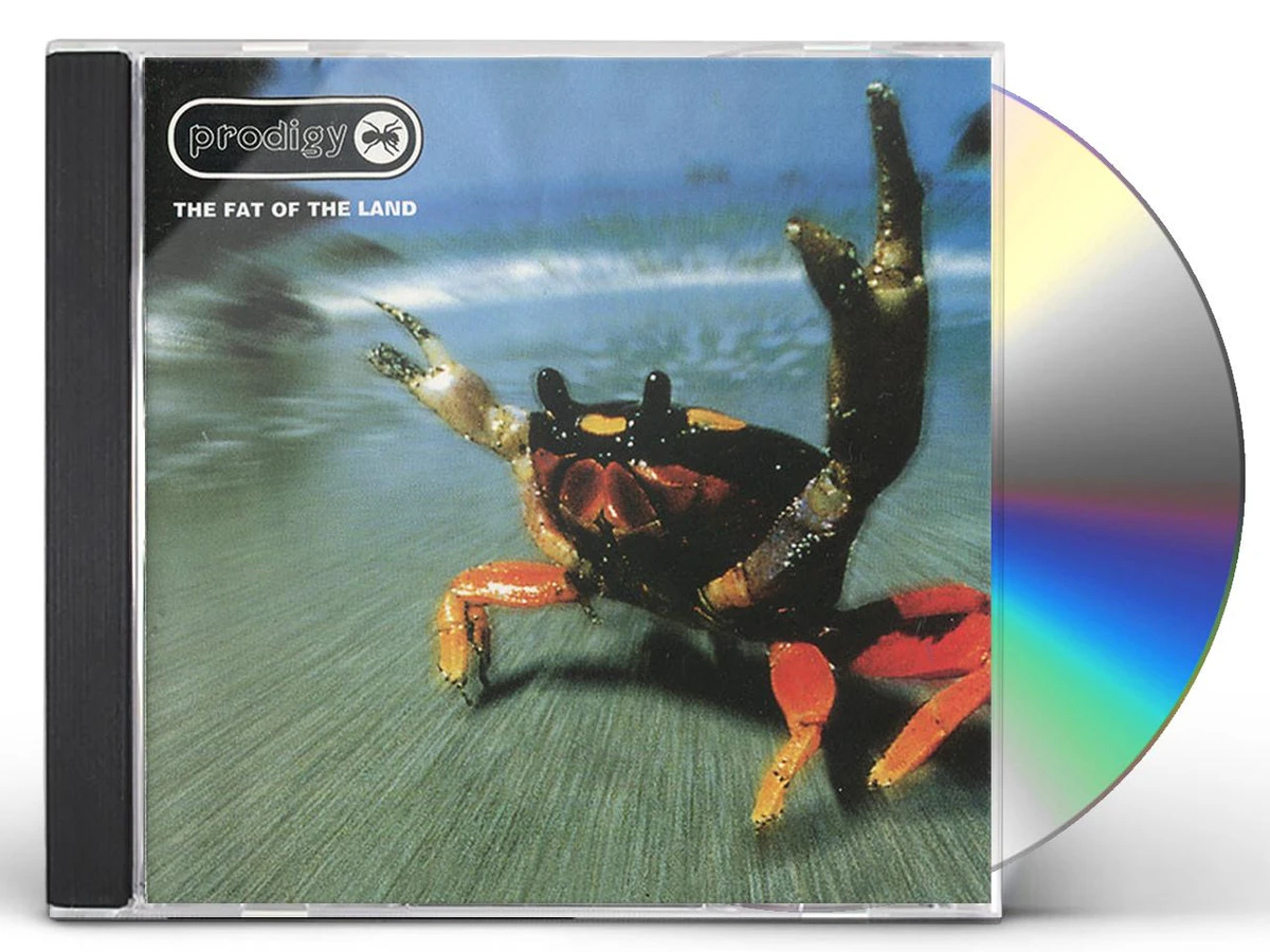 美品 PRODIGY THE FAT OF THE LAND プロディジー LP Prodigy - The Fat of The Land (2xLP Vinyl)