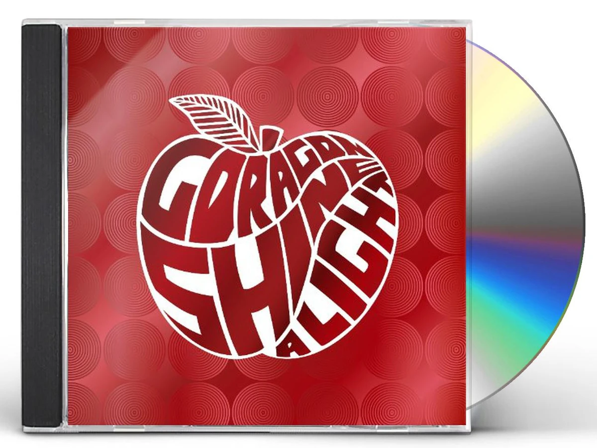 G-DRAGON DVD LIGHT SHINE A ジヨン 新品未開封