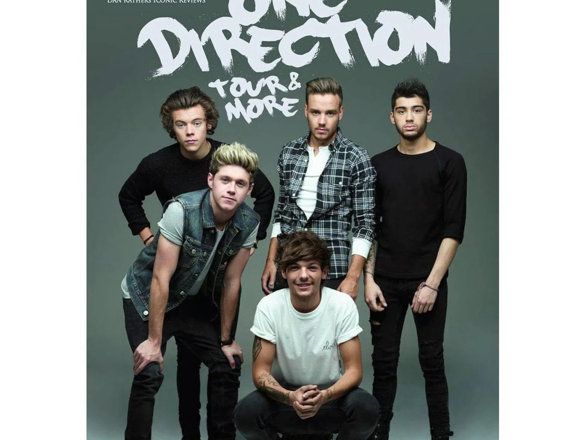 ツアーグッズ DVD DIRECTION（ワンダイレクション）1D ONE
