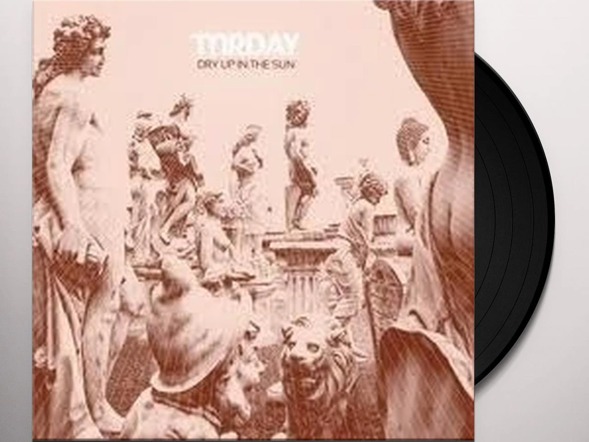 洋楽 Mr Day / DRY UP IN THE SUN (LP) Mr Day Dry Up In The Sun Vinyl Record
