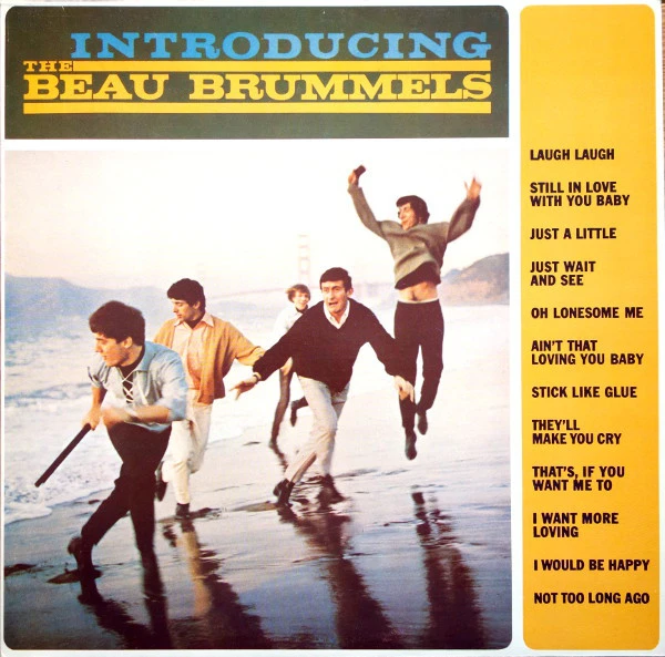 Introducing the Beau Brummels Vinyl Record