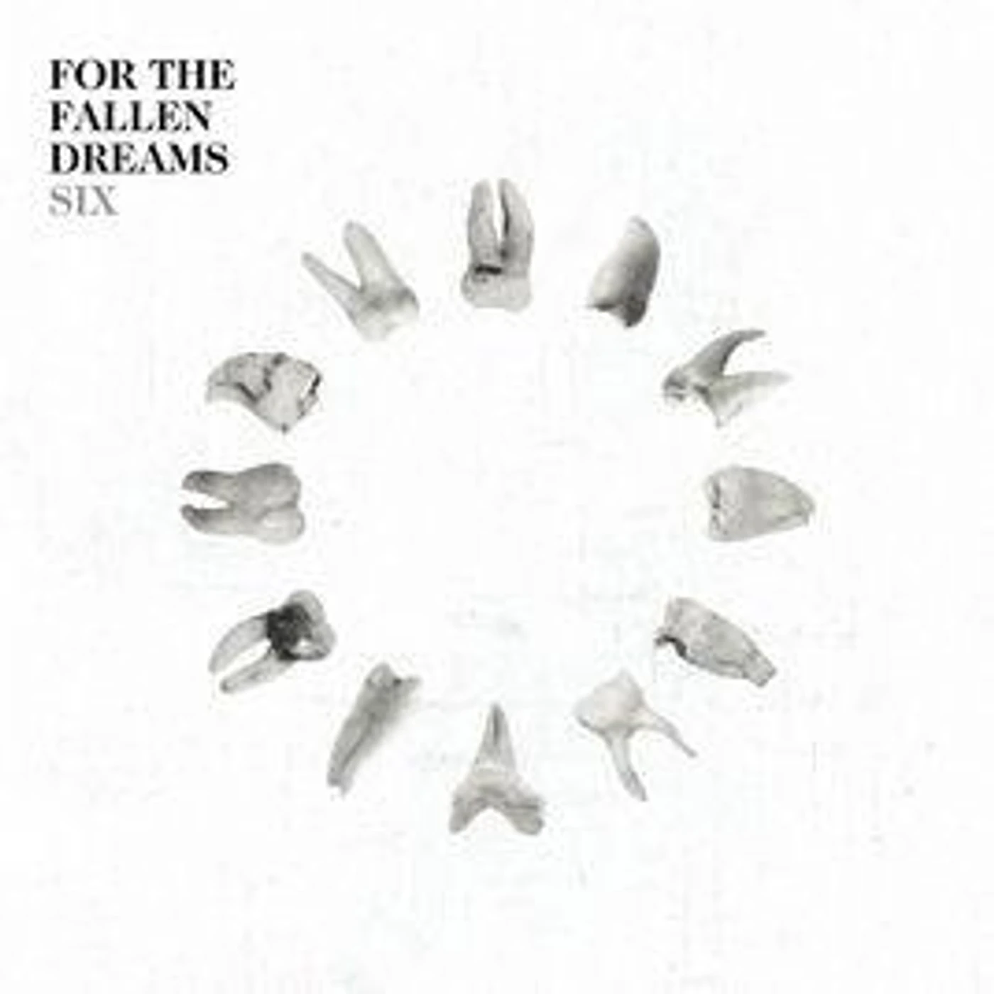 FOR THE FALLEN DREAMS CD