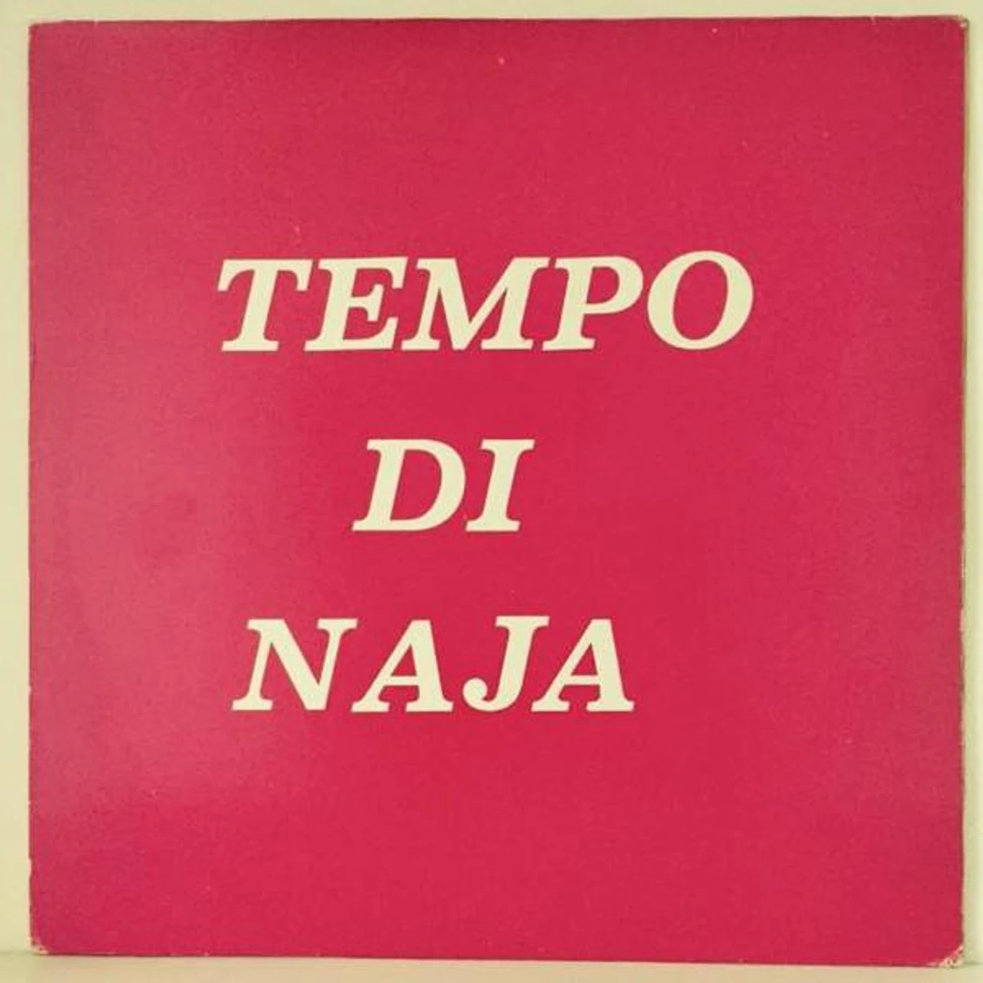 Remigio Ducros Tempo di naja Vinyl Record