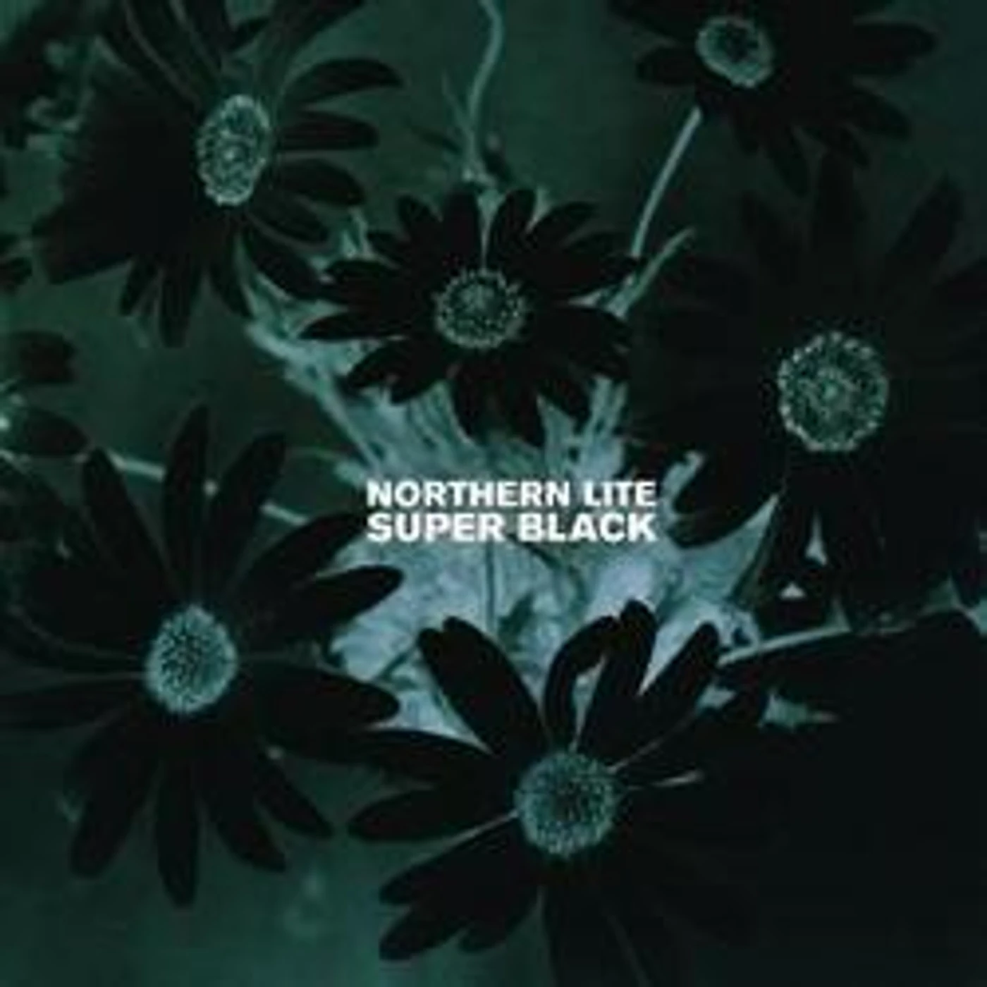 Northern Lite SUPER BLACK Vinyl Record