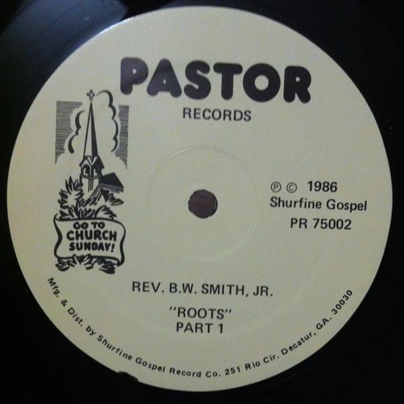 B.W. Smith ROOTS (Vinyl)