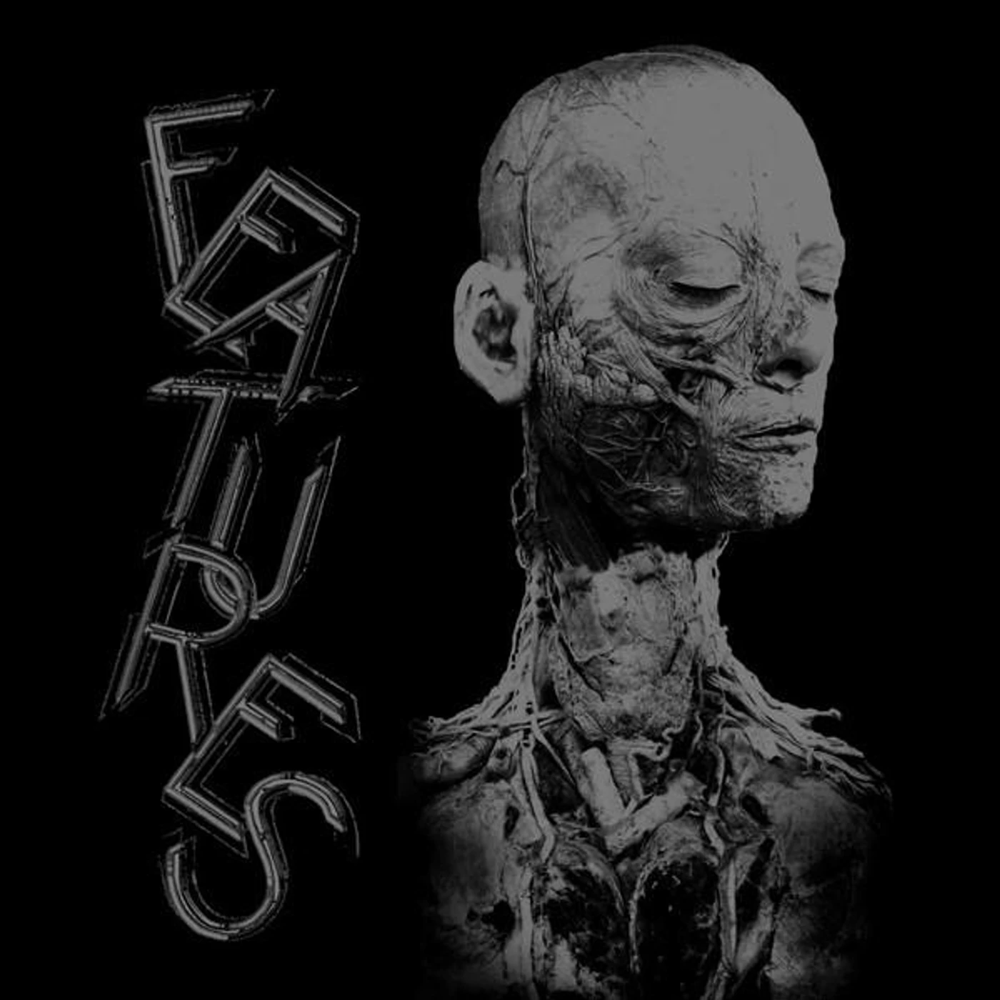 X-The Features Vinyl Record - Canada Release