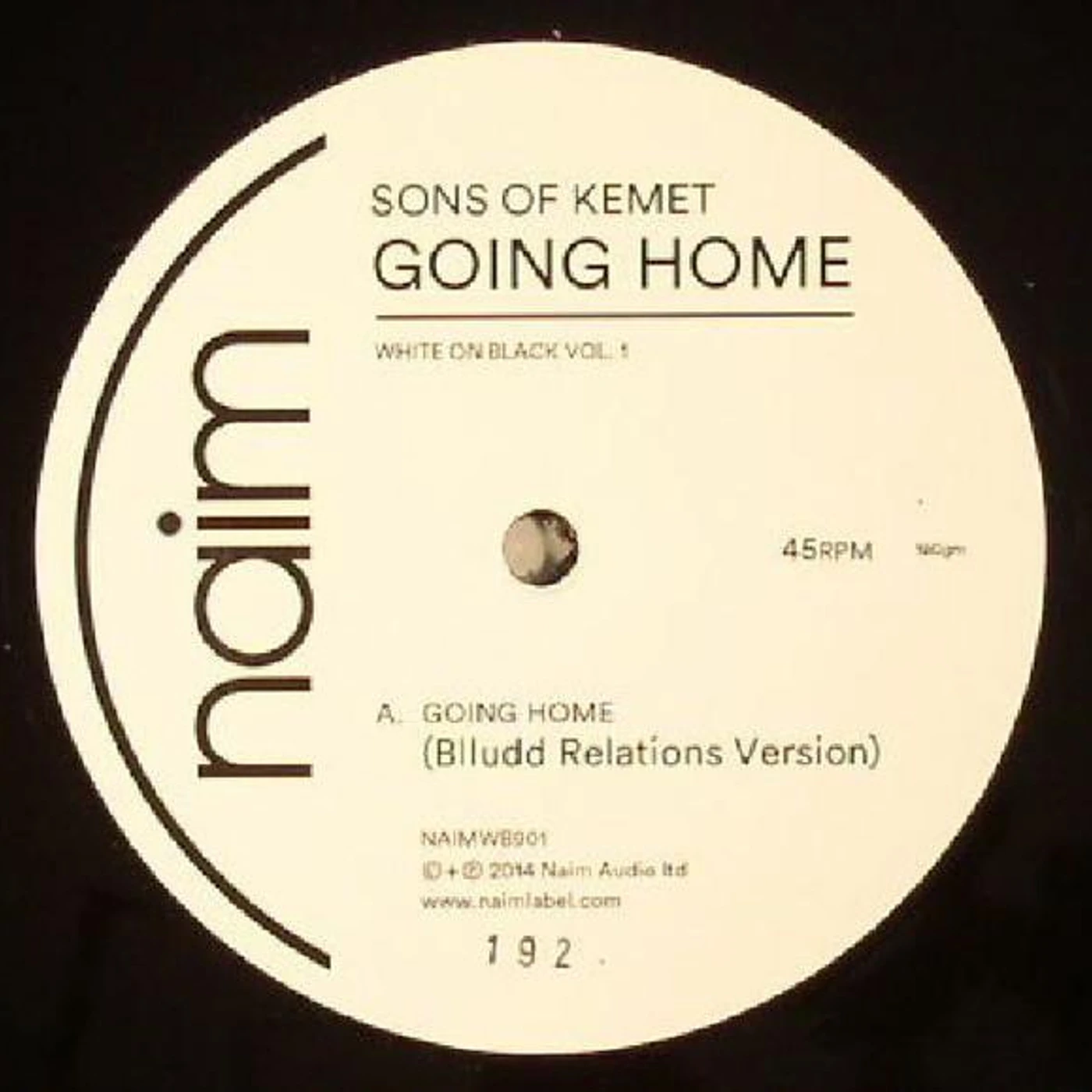 Sons Of Kemet WHITE ON BLACK 1 Vinyl Record