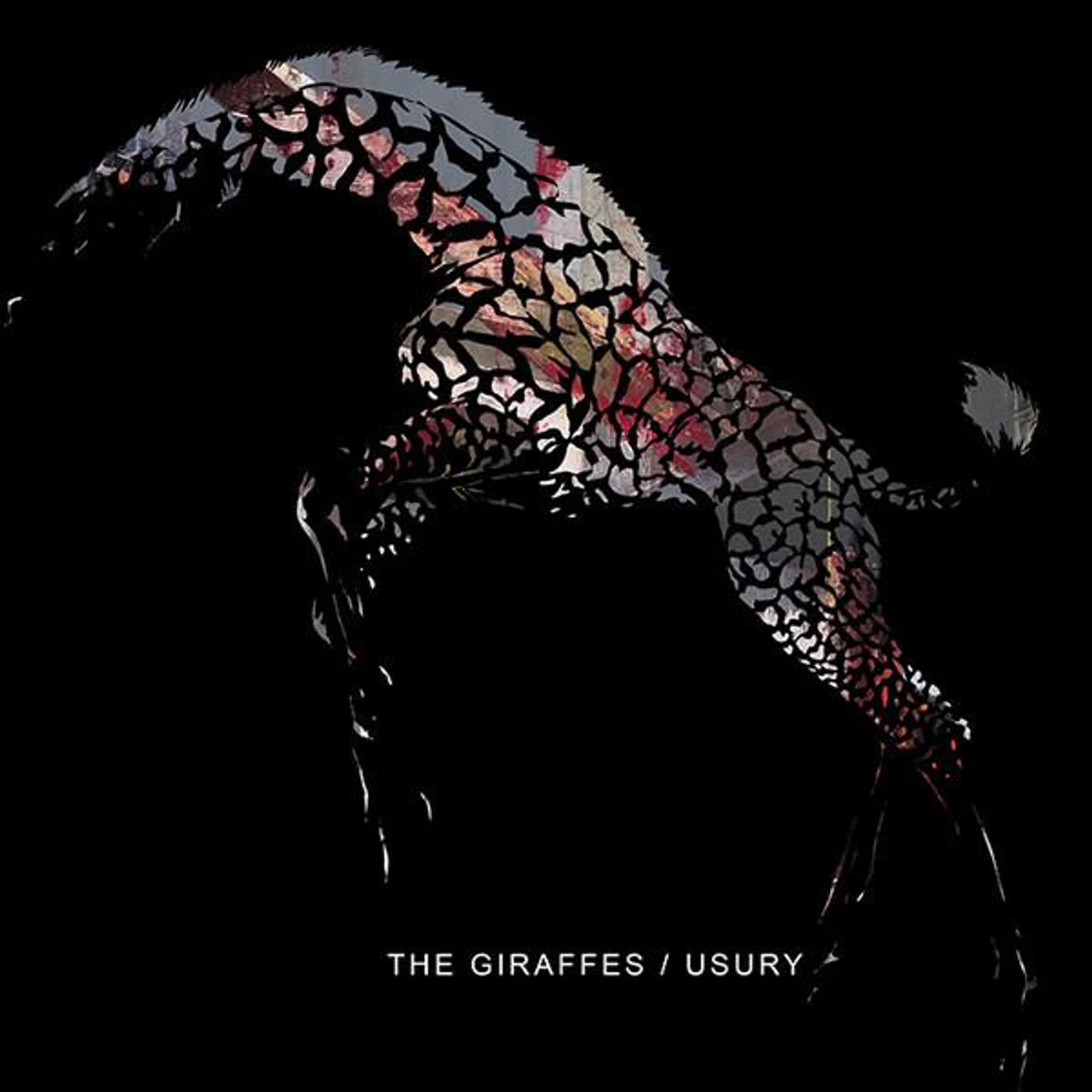 The Giraffes USURY CD