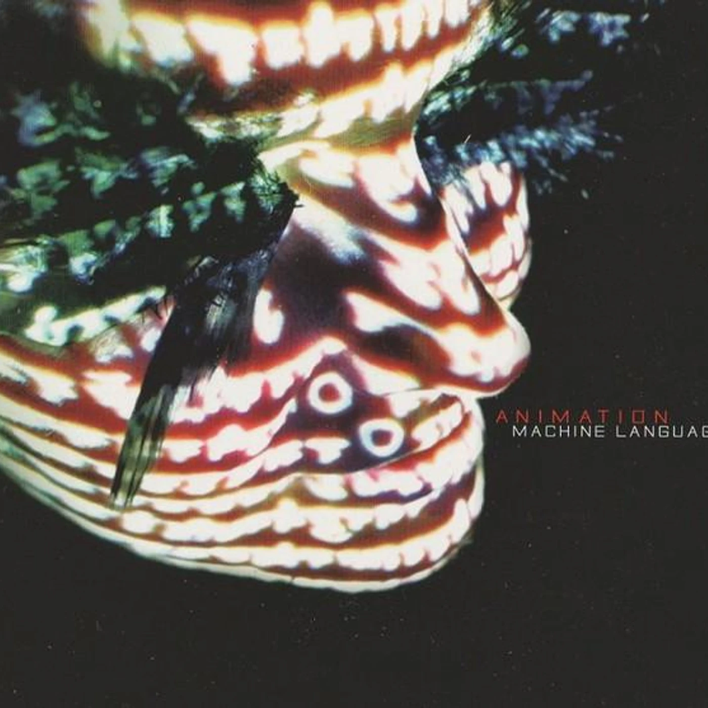 Animation Machine Language Vinyl Record