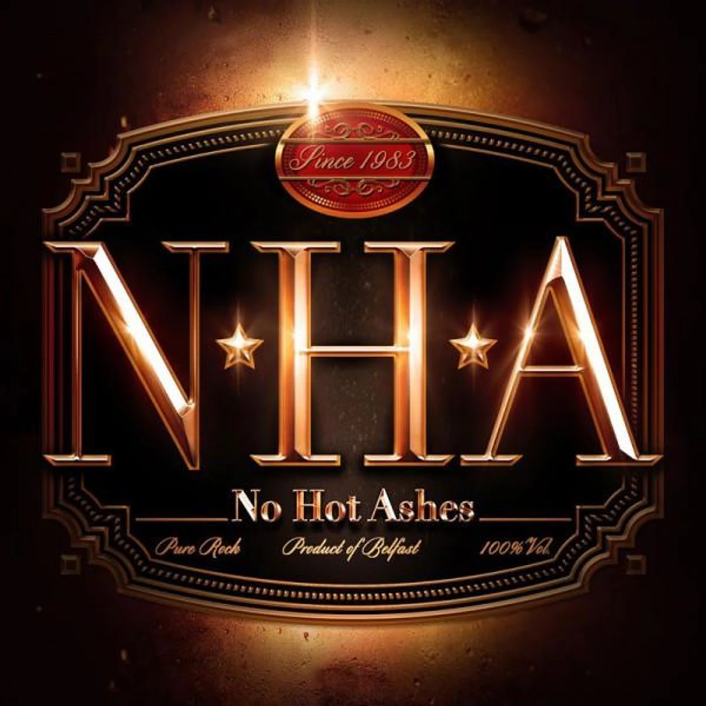 No Hot Ashes Vinyl Record