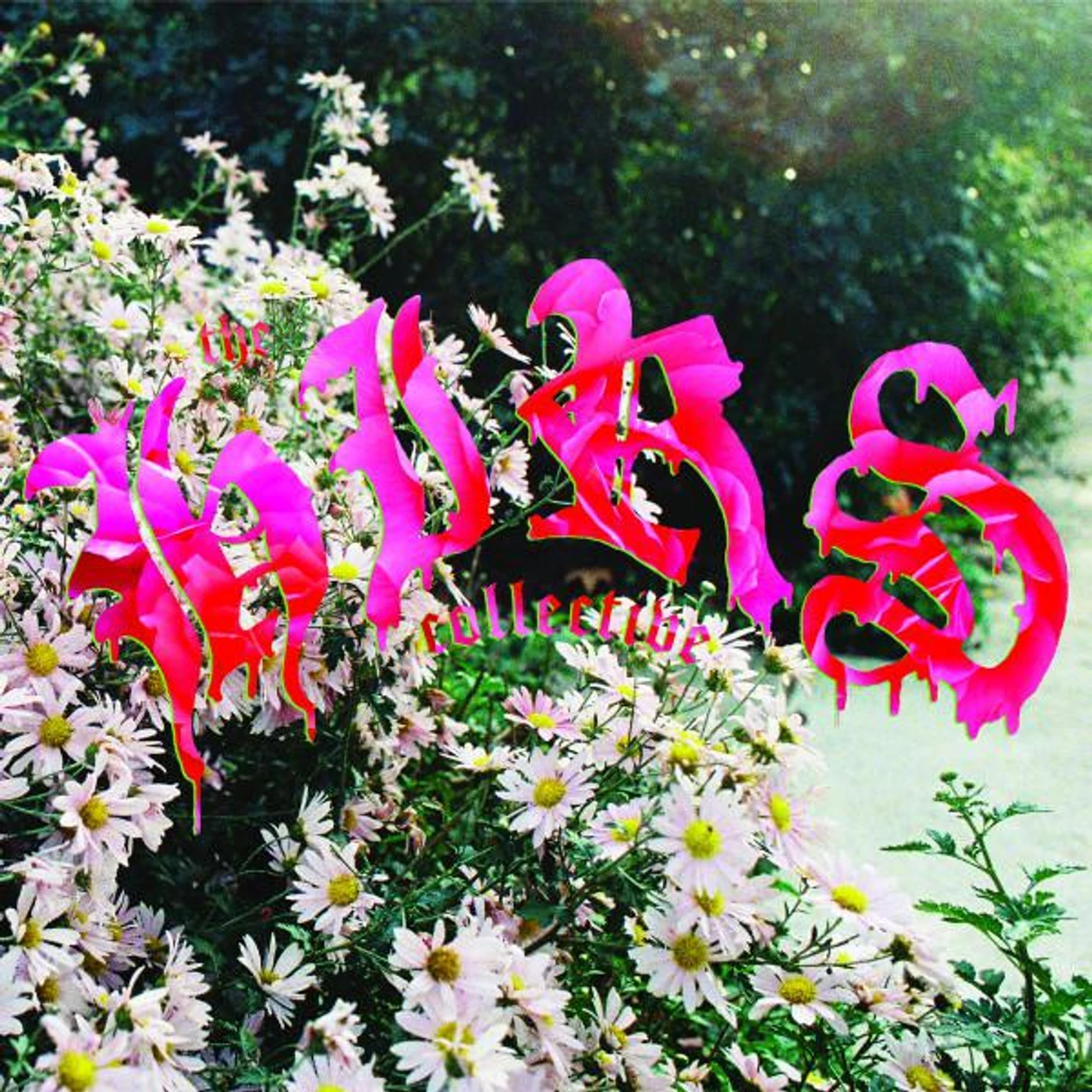 The Hirs Collective FRIENDS LOVERS FAVORITES CD