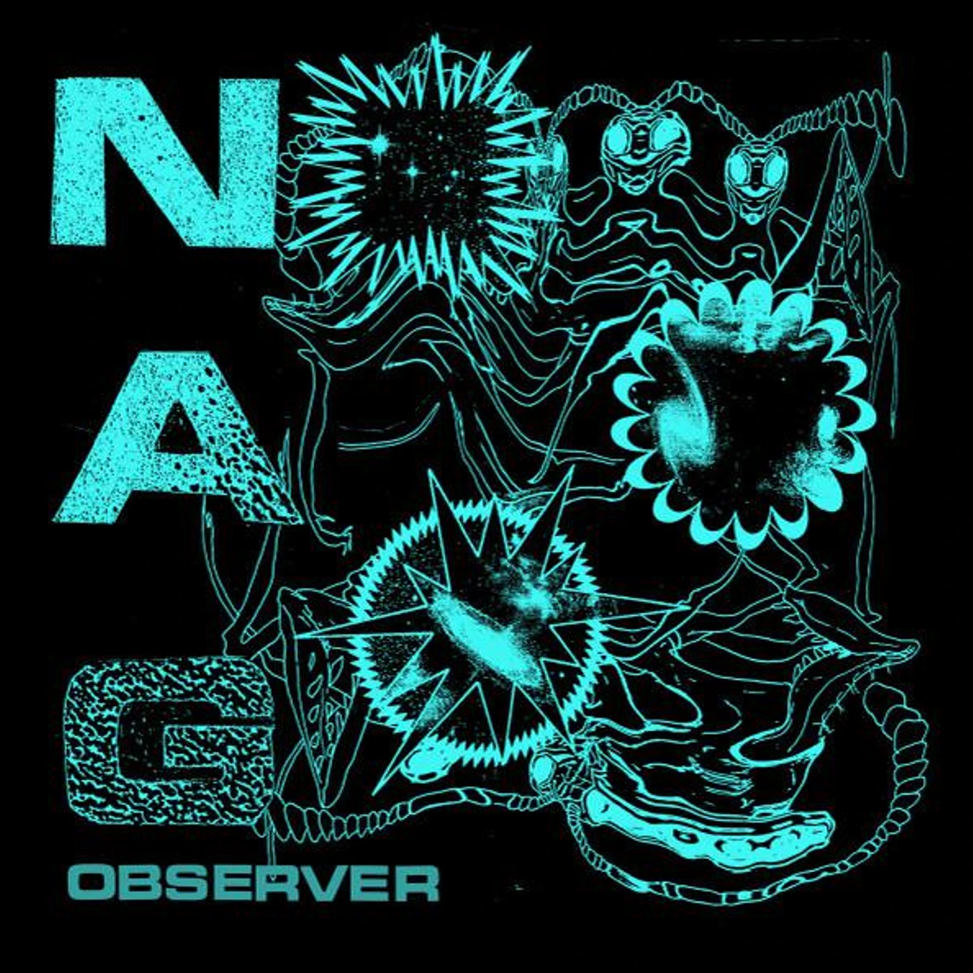 Nag Observer Vinyl Record
