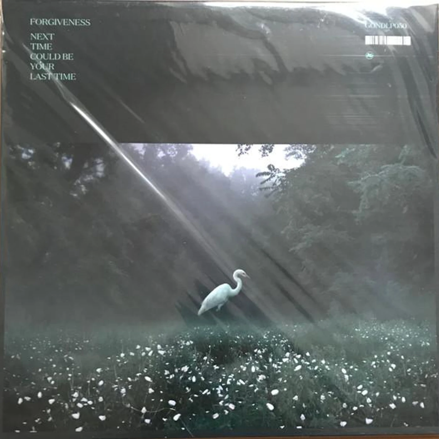 Forgiveness NEXT TIME COULD BE YOUR LAST TIME CD