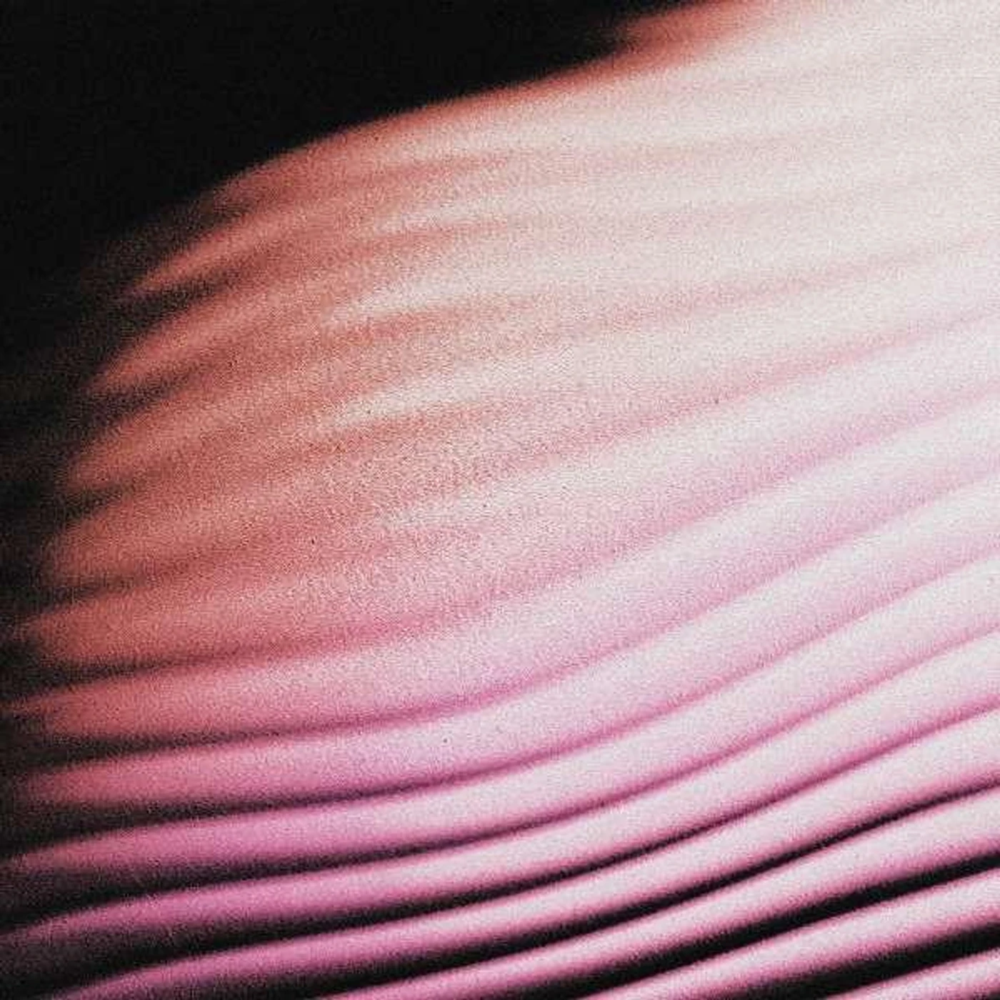 Polar EVERYTHING, EVERYWHERE CD