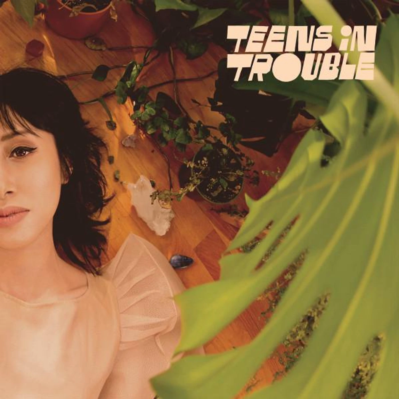 Teens in Trouble Vinyl Record
