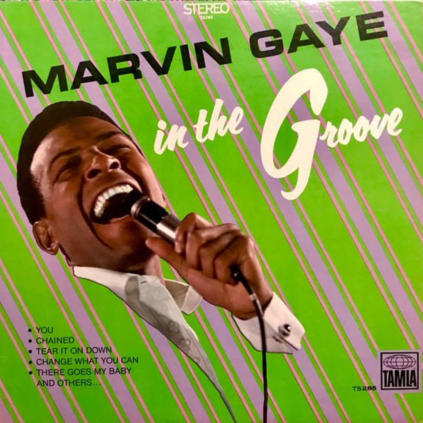 Marvin Gaye IN THE GROOVE Vinyl Record