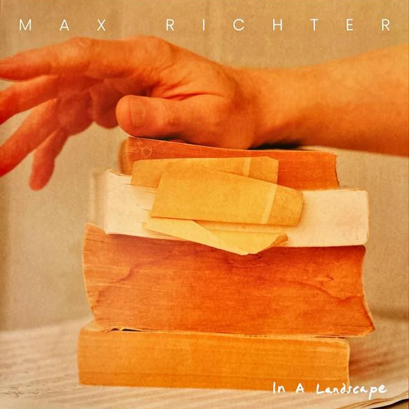 Max Richter IN A LANDSCAPE (2LP) Vinyl Record