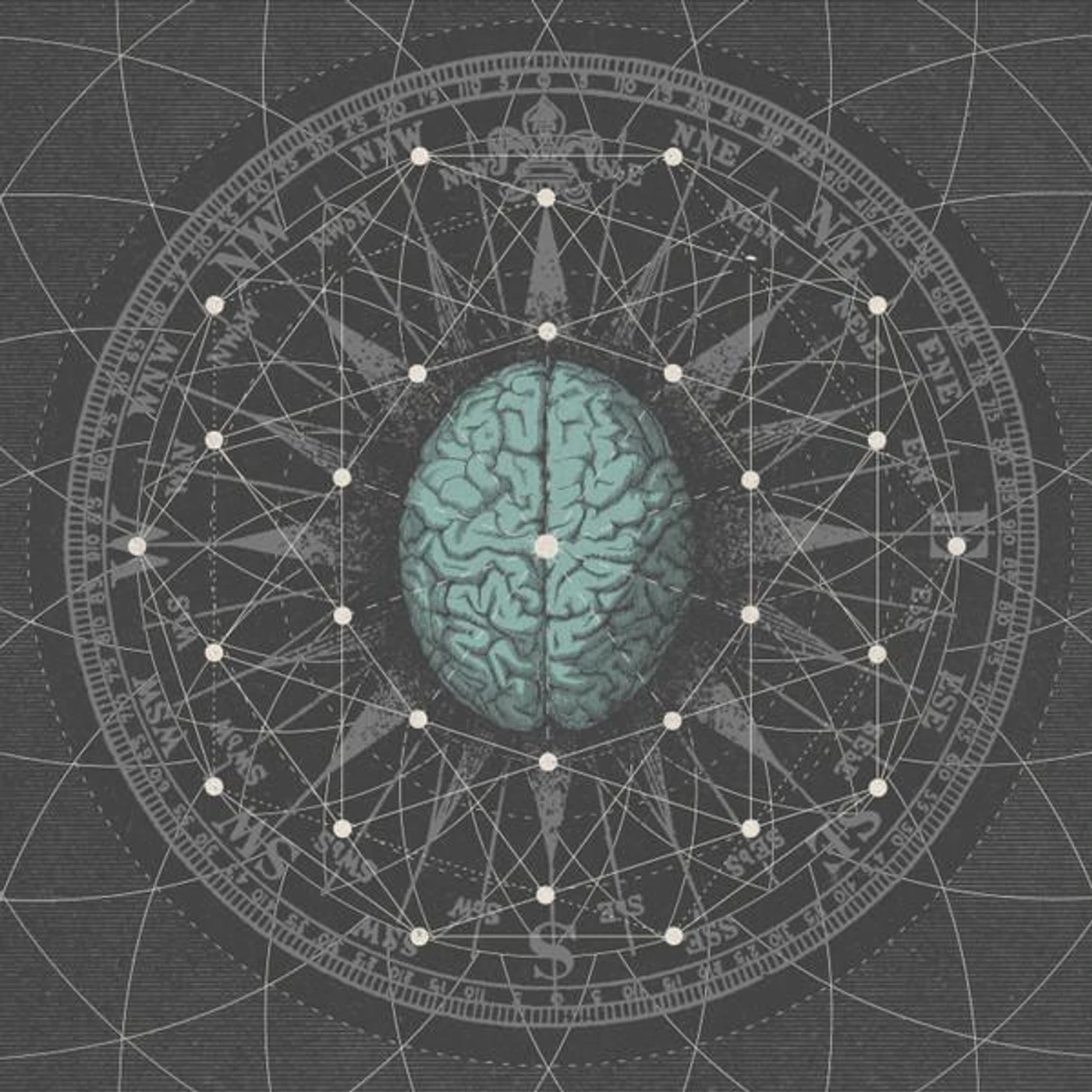 Bipolar Architecture METAPHYSISIZE CD