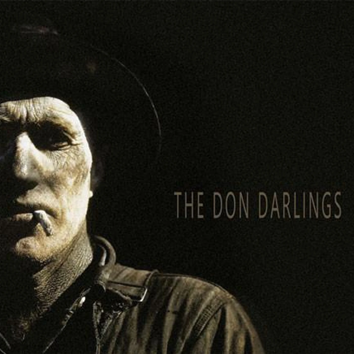 The Don Darlings Vinyl Record