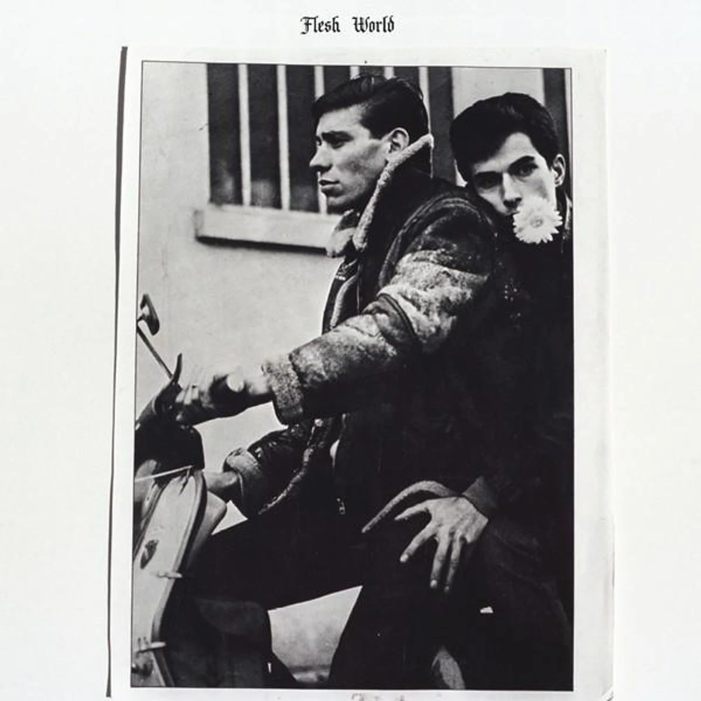 FLESH WORLD (UK) (Vinyl)