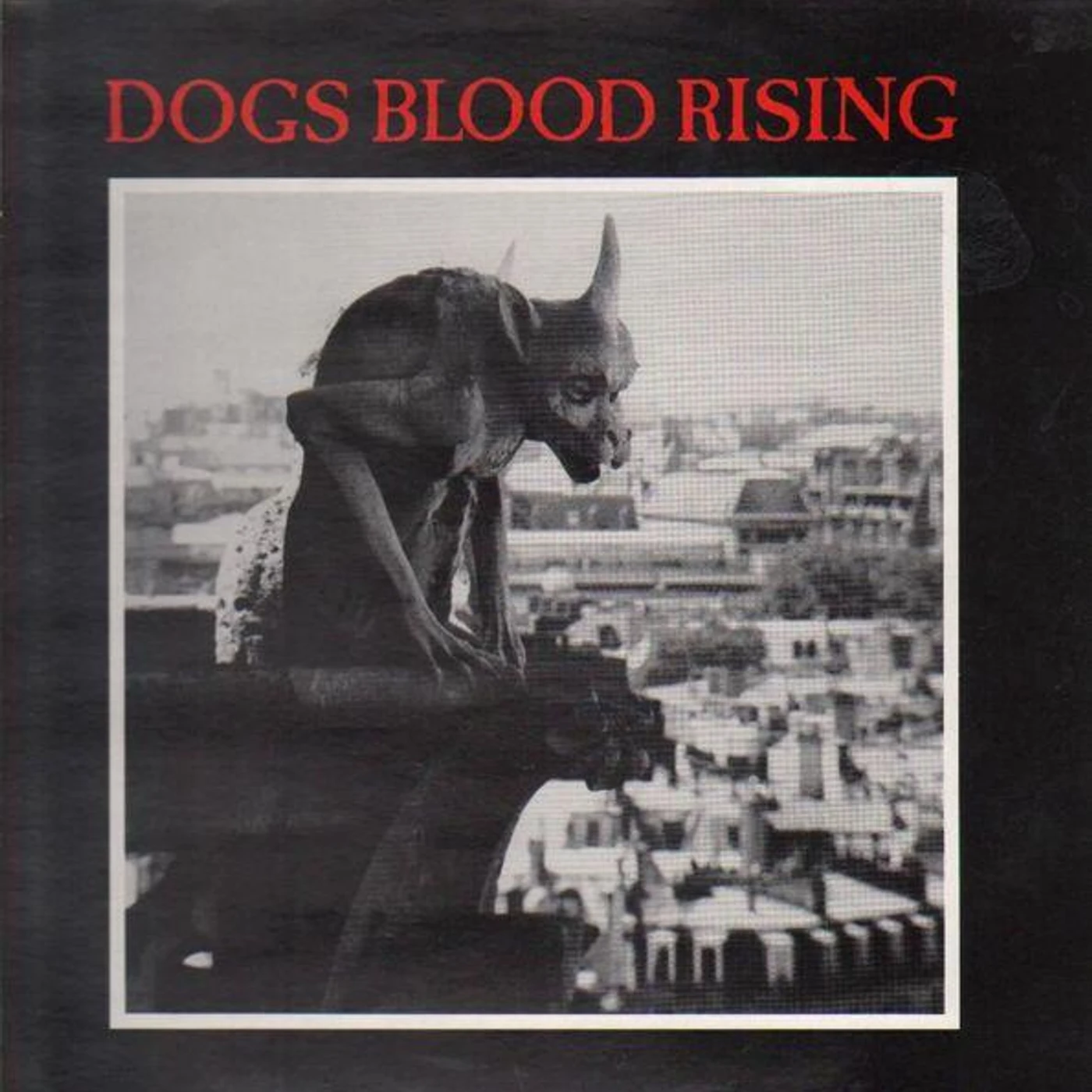 Current 93 Dogs Blood Rising (Picture Disc) Vinyl Record