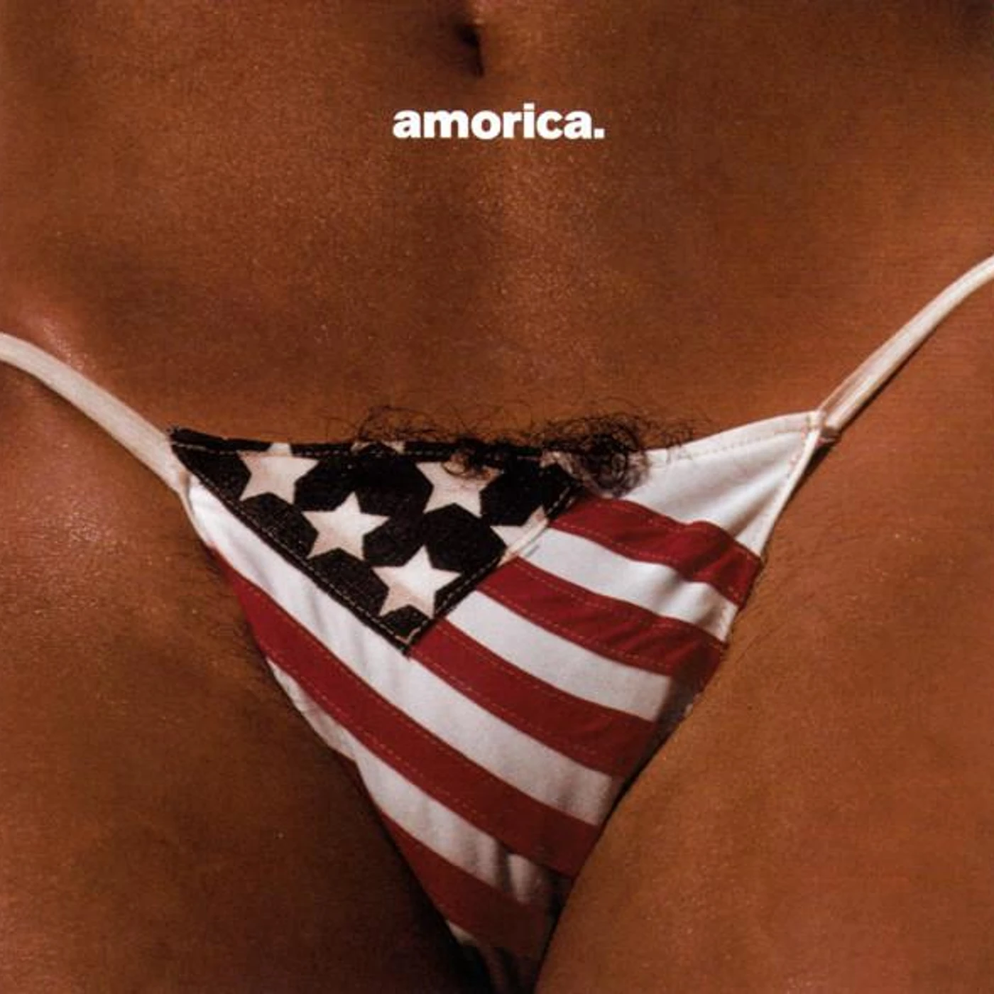 The Black Crowes AMORICA CD