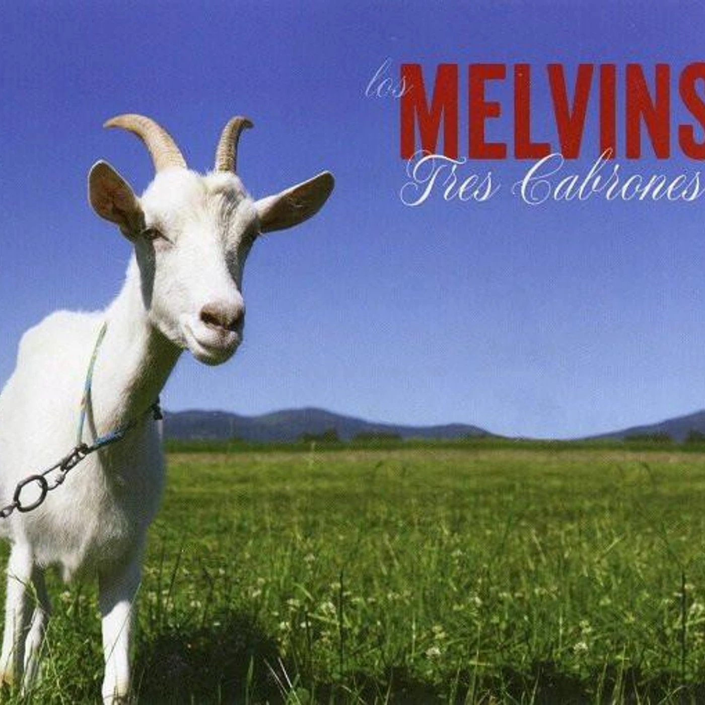 Melvins TRES CABRONES CD