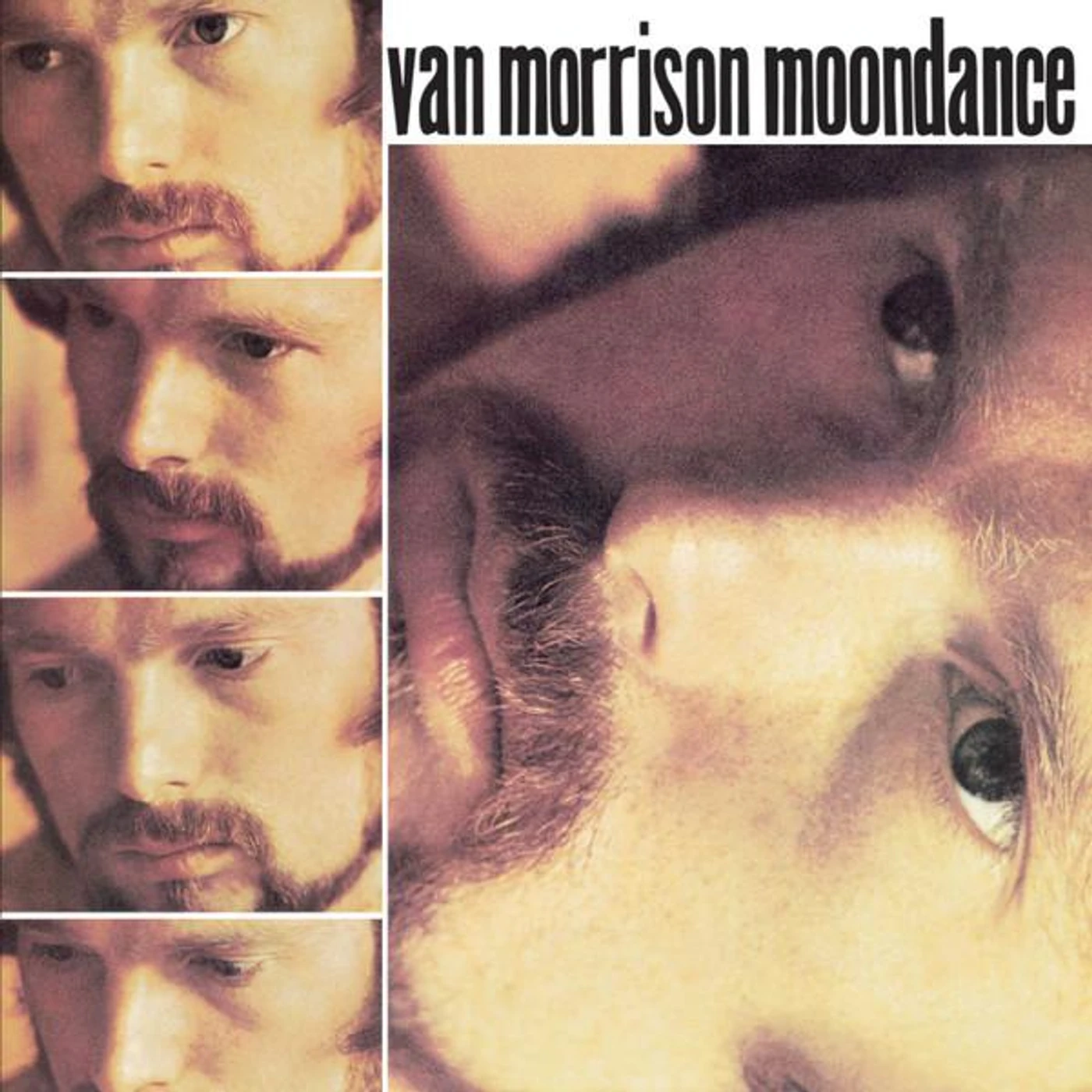 Van Morrison MOONDANCE CD