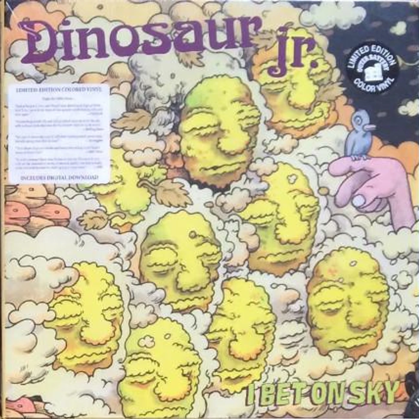 Dinosaur Jr. I BET ON SKY Vinyl Record