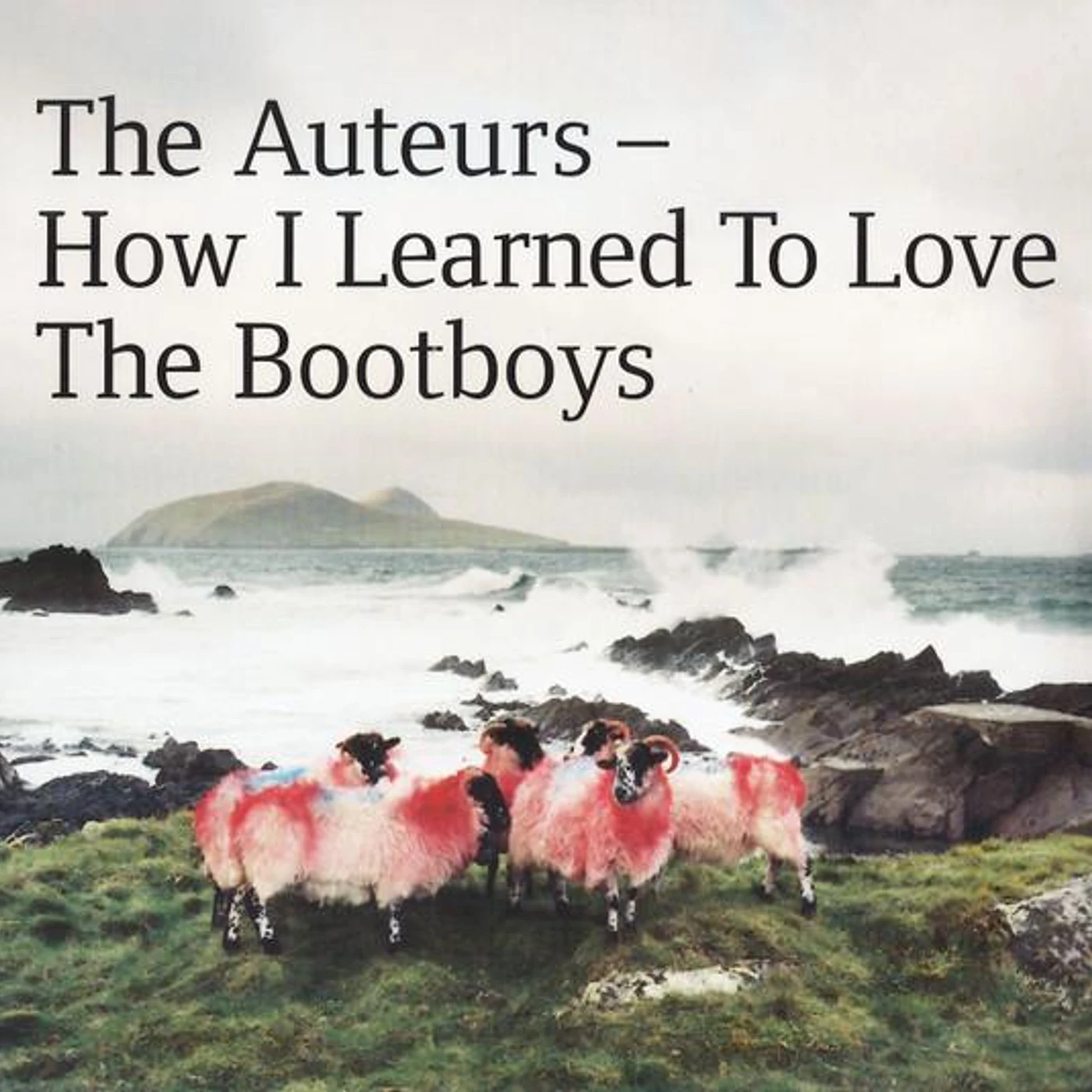 The Auteurs HOW I LEARNED TO LOVE THE BOOTBOYS CD