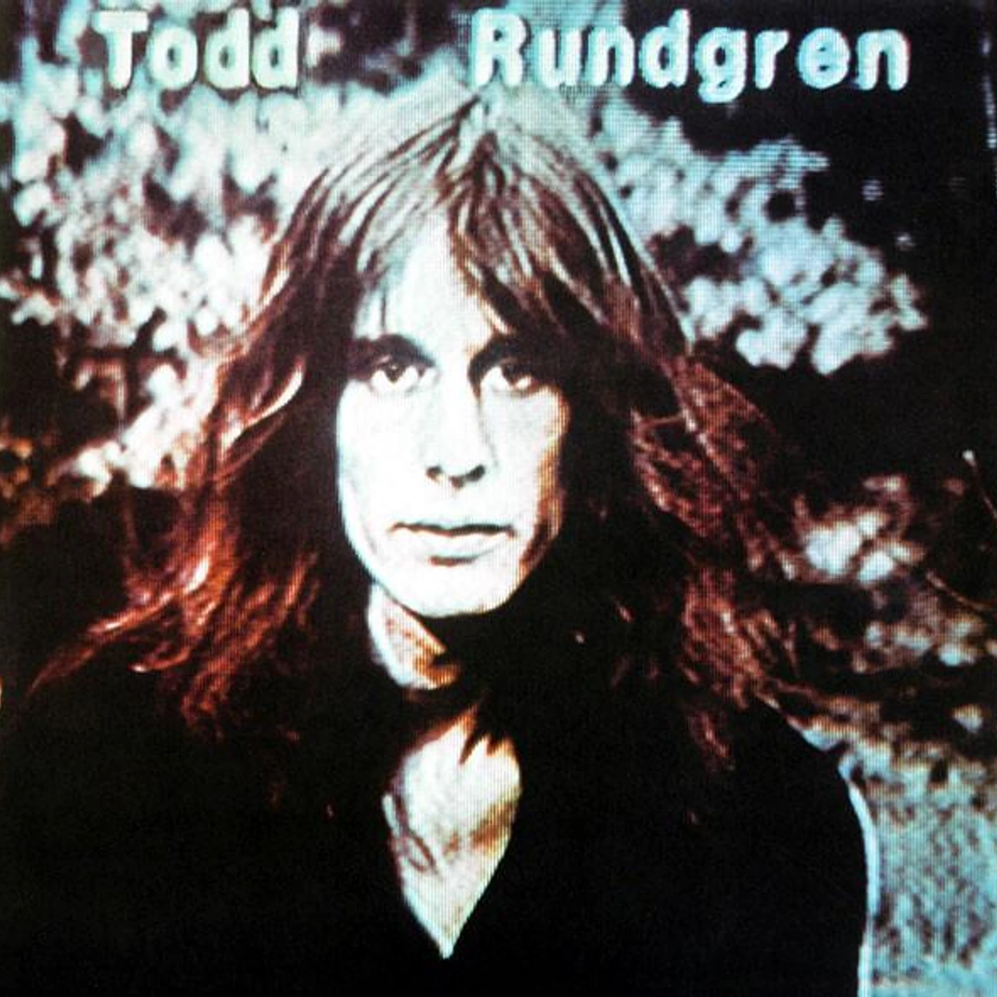 Todd Rundgren HERMIT OF MINK HOLLOW Vinyl Record