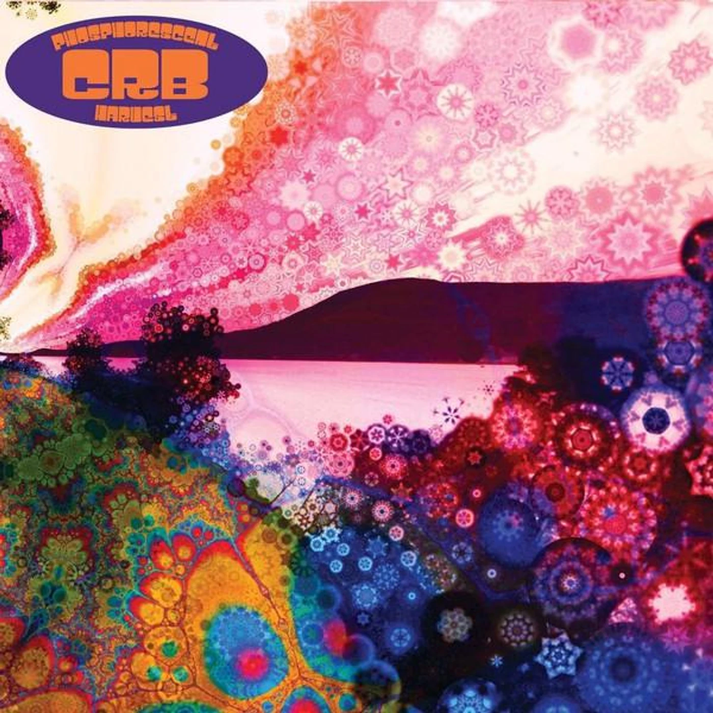 Chris Robinson Brotherhood PHOSPHORESCENT HARVEST CD
