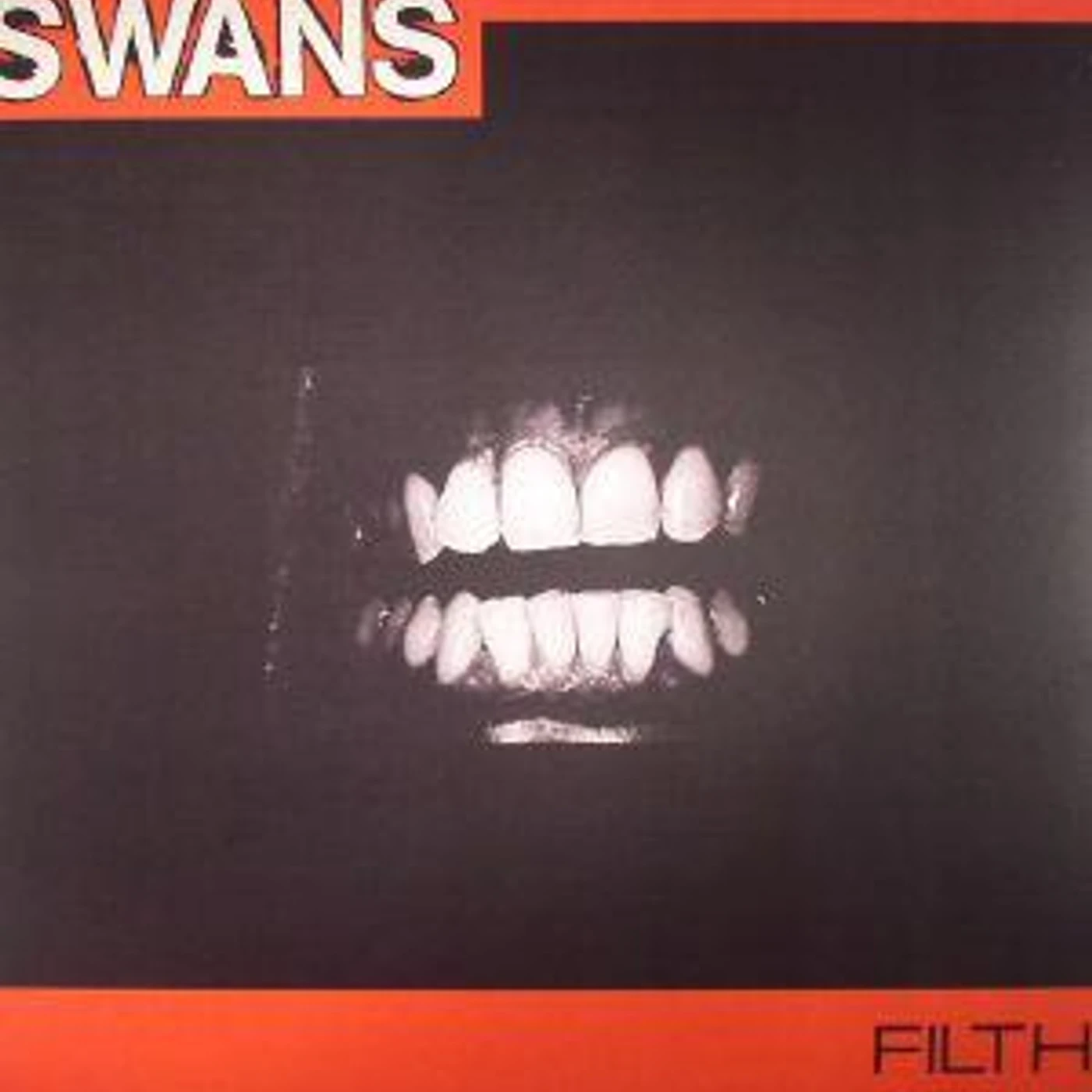 Swans FILTH Vinyl Record