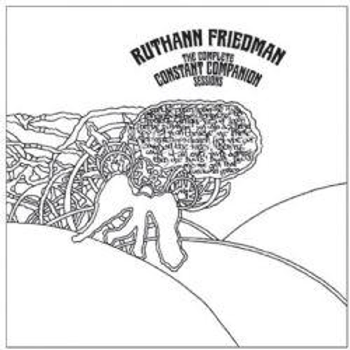 Ruthann Friedman COMPLETE CONSTANT COMPANION SESSIONS CD