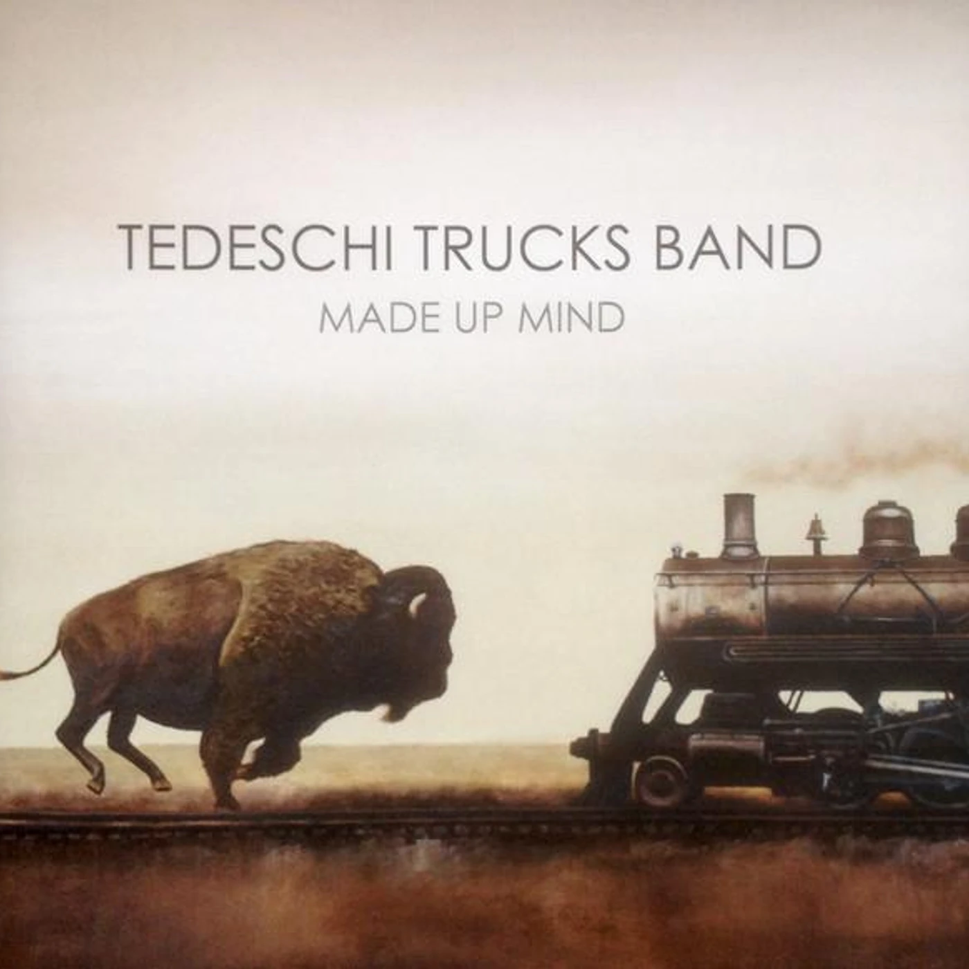 Tedeschi Trucks Band MADE UP MIND CD
