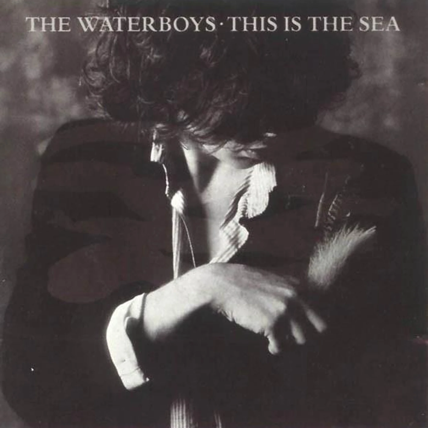 The Waterboys This Is The Sea Vinyl Record