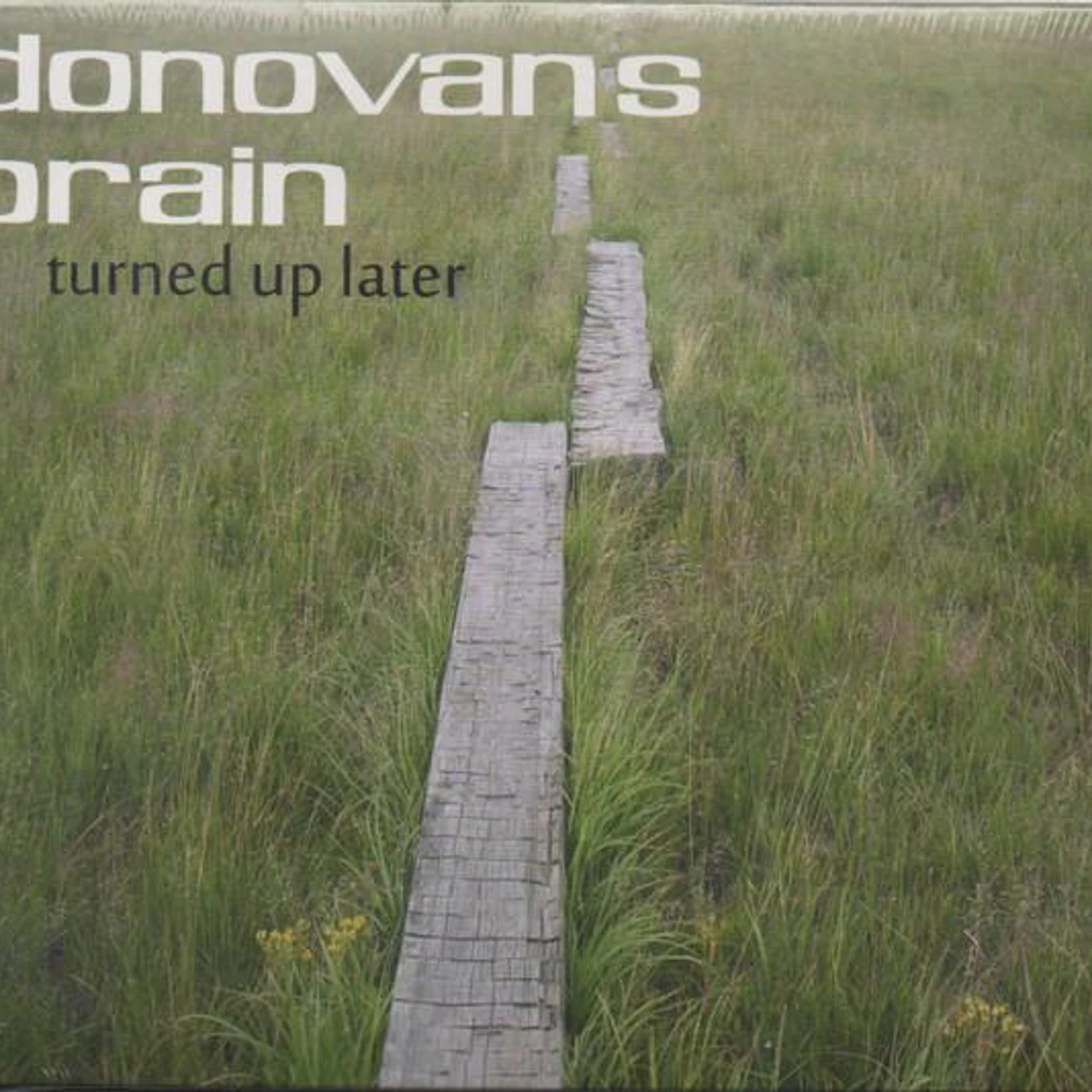 Donovan's Brain TURNED UP LATER CD