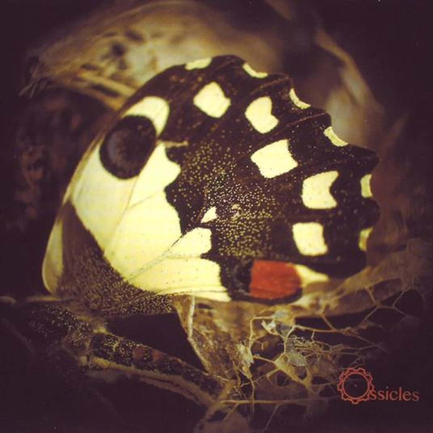 Ossicles MUSIC FOR WASTELANDS CD