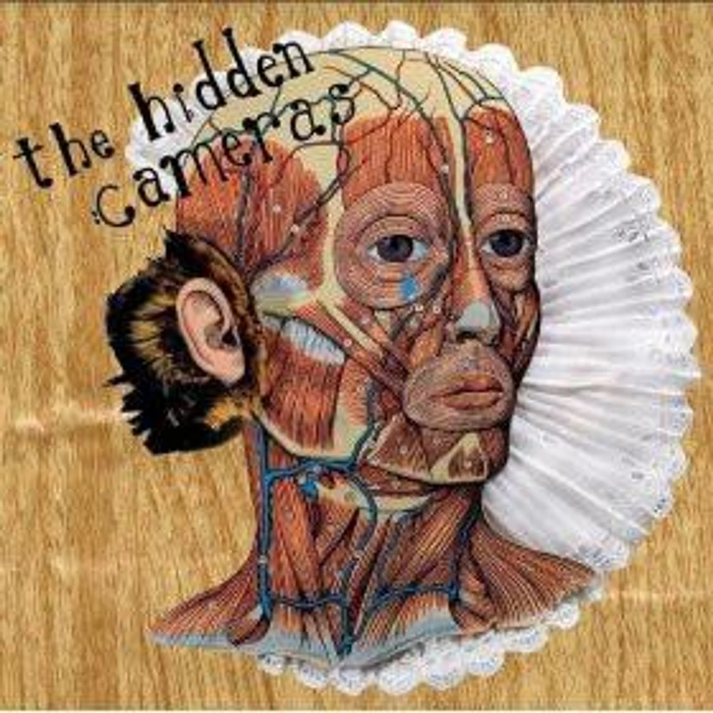 The Hidden Cameras LEARNING THE LIE (7 IN.) (2+ T (LP) Vinyl Record