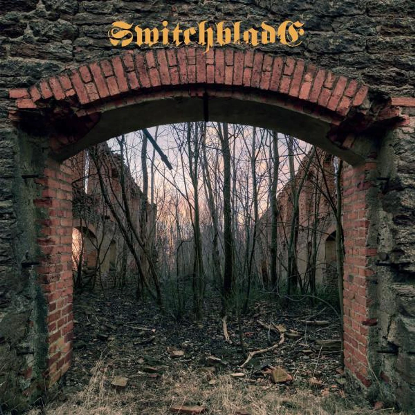 SWITCHBLADE Vinyl Record