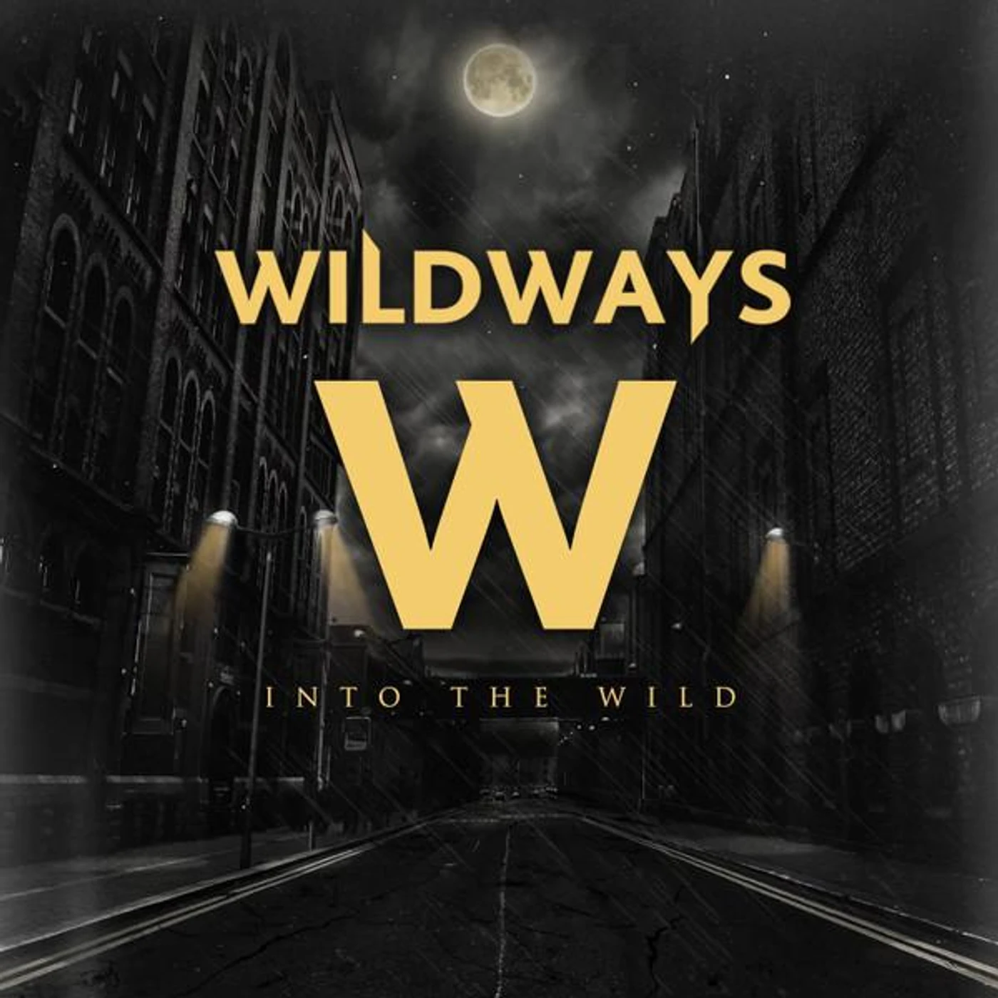 Wildways INTO THE WILD CD