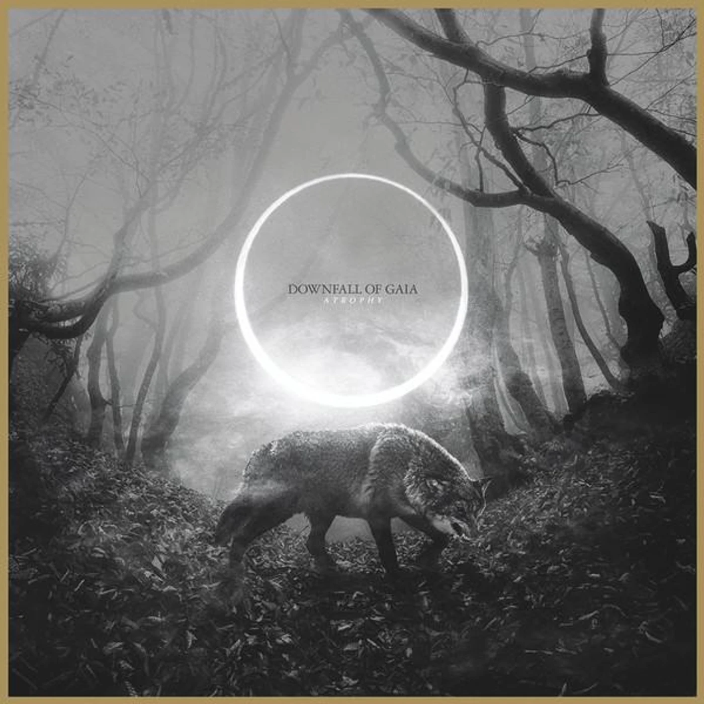 Downfall Of Gaia Atrophy Vinyl Record