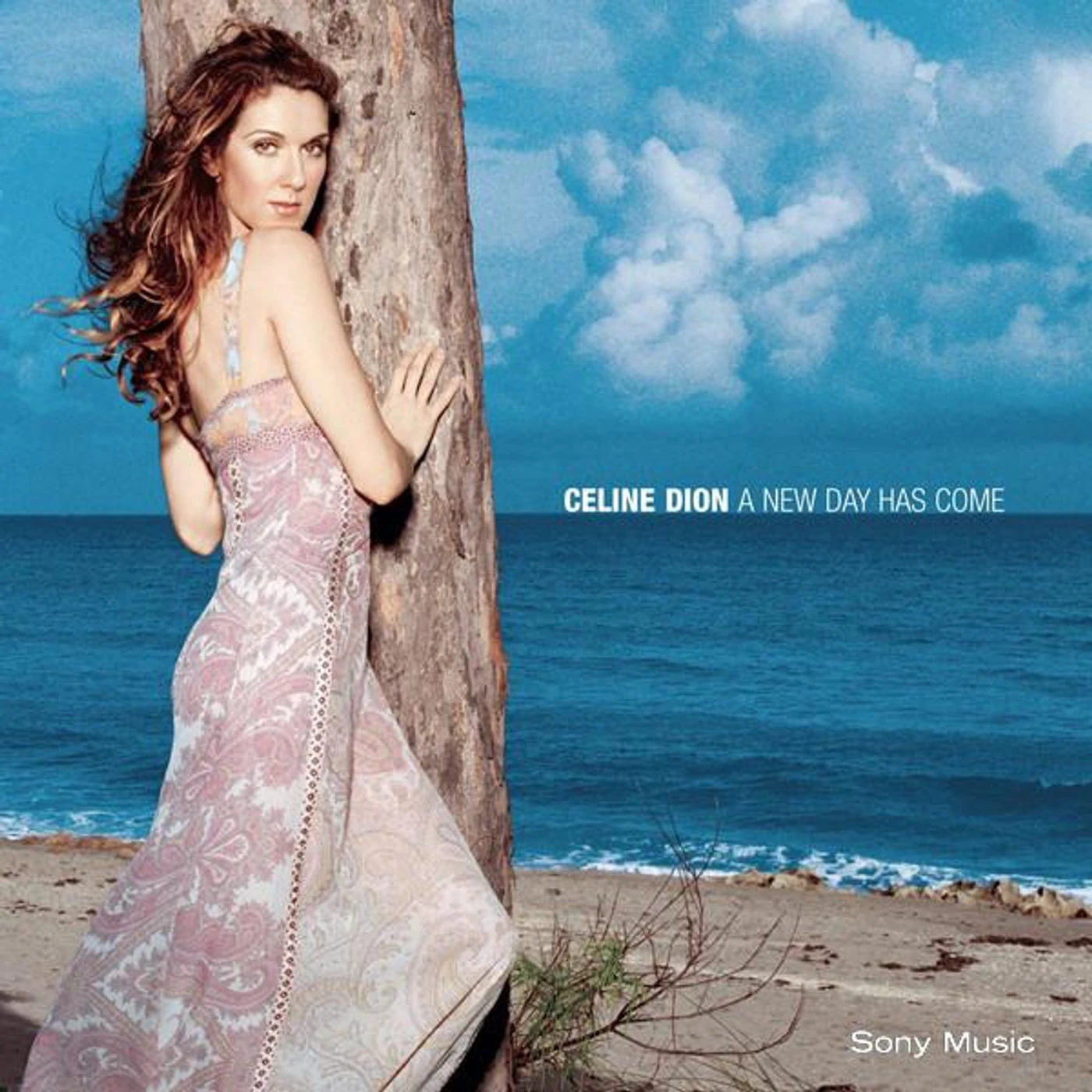 Céline Dion A NEW DAY HAS COME CD
