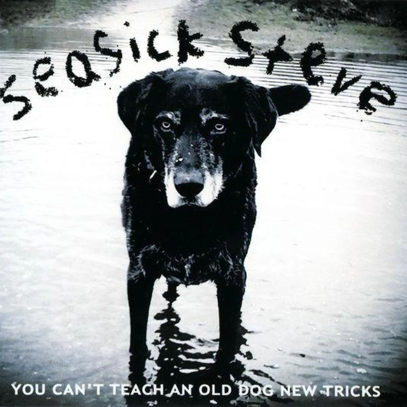Seasick Steve YOU CAN'T TEACH AN OLD DOG NEW TRICK CD