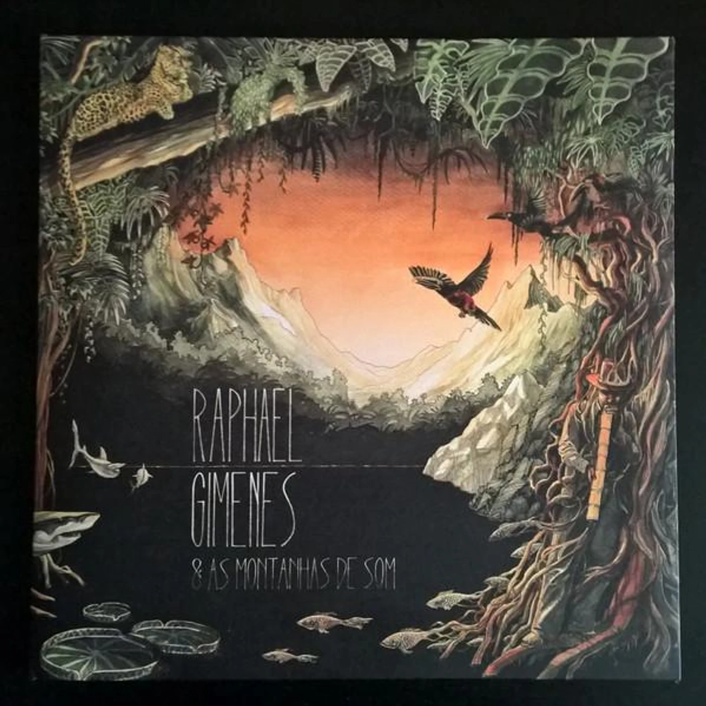 RAPHAEL GIMENES & AS MONTANHAS DE SOM CD