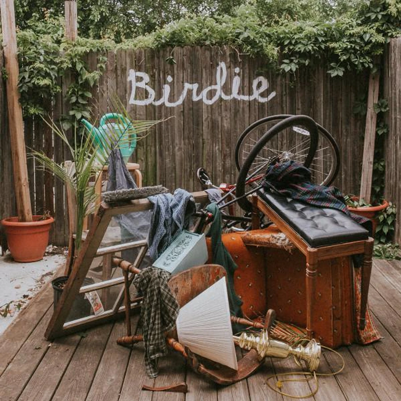 Slaughter Beach, Dog Birdie Vinyl Record